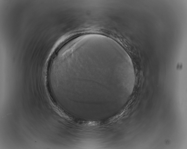 X0000097590056200803280937