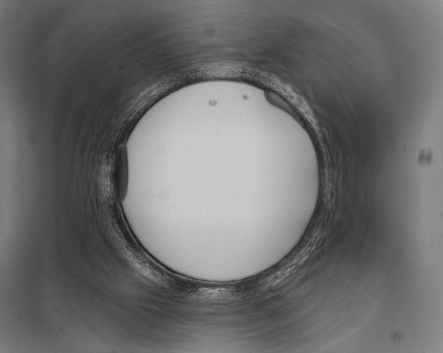 X0000097590057200803280937