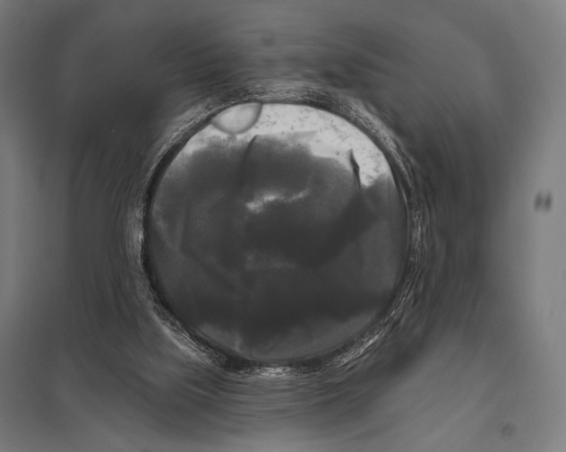 X0000097590059200803280937