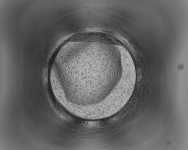 X0000097590060200803280937