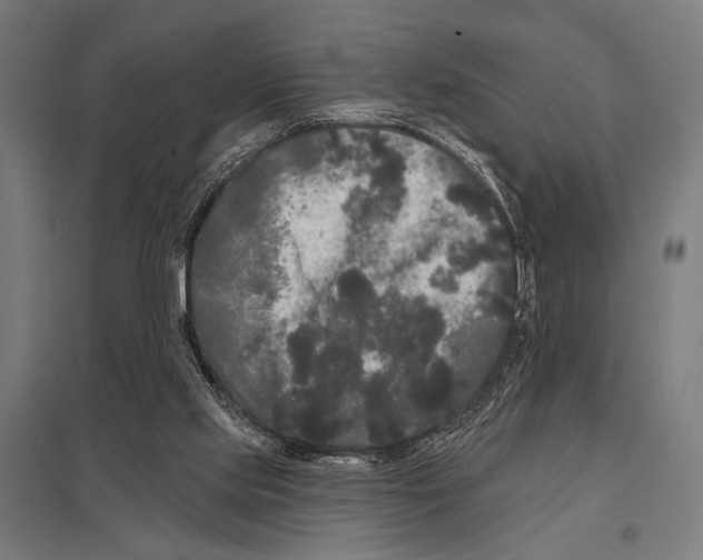 X0000097590061200803280937