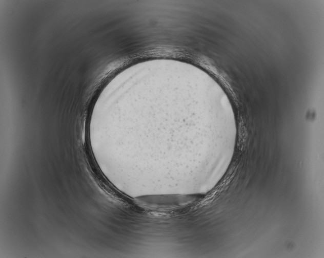 X0000097590062200803280937