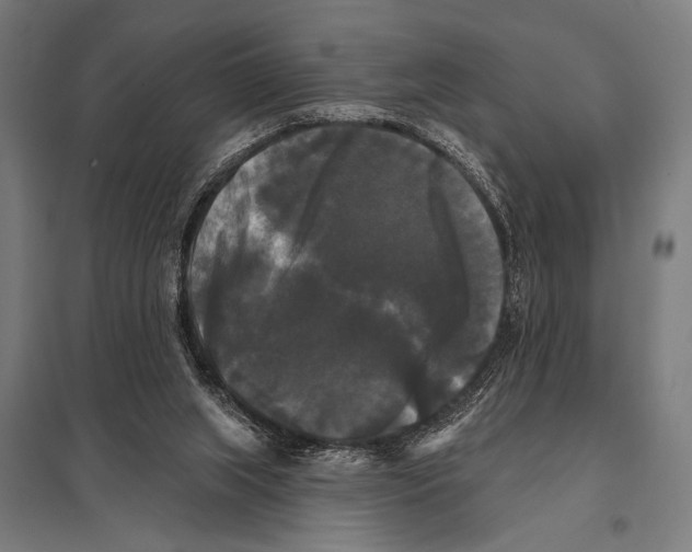 X0000097590063200803280937