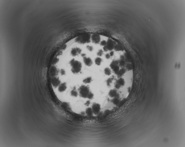 X0000097590066200803280937