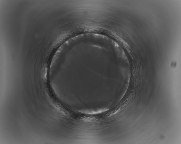 X0000097590067200803280937