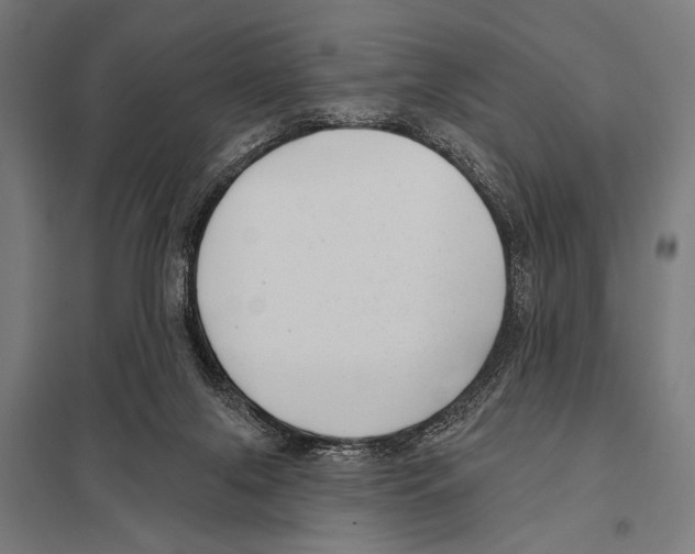 X0000097590071200803280937