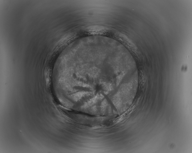 X0000097590074200803280937