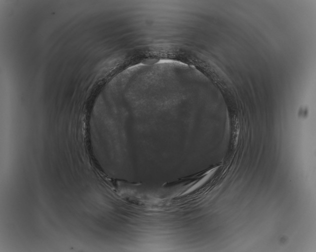 X0000097590080200803280937