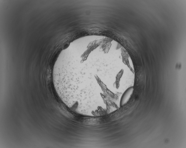 X0000097590081200803280937