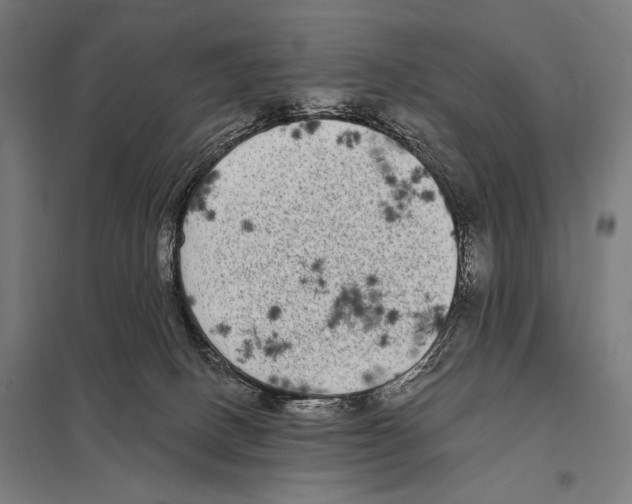 X0000097590082200803280937