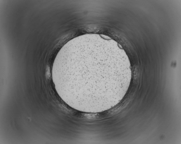 X0000097590089200803280937