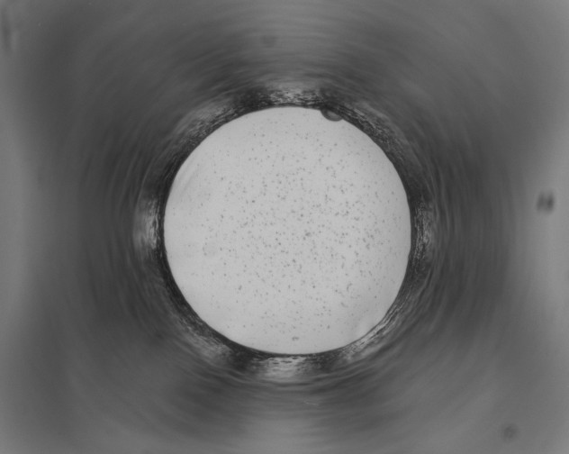 X0000097590090200803280937