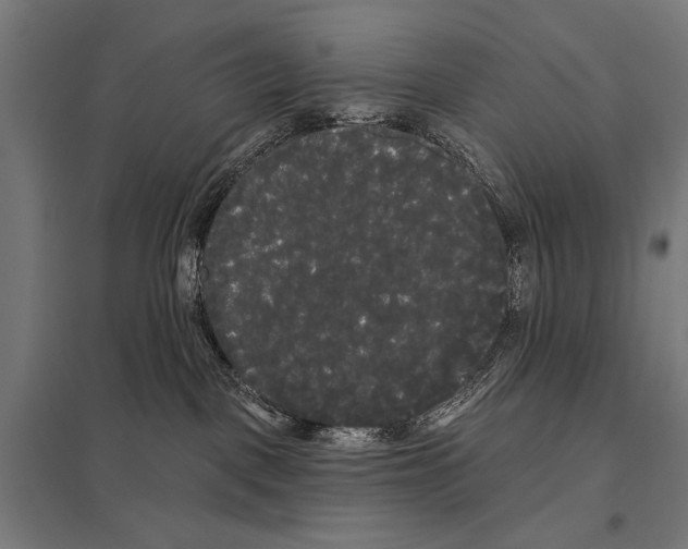 X0000097590093200803280937