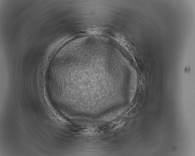 X0000097590097200803280937