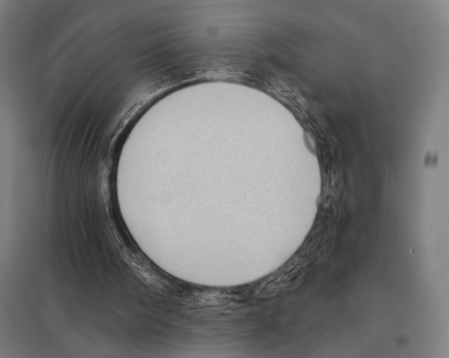 X0000097590098200803280937