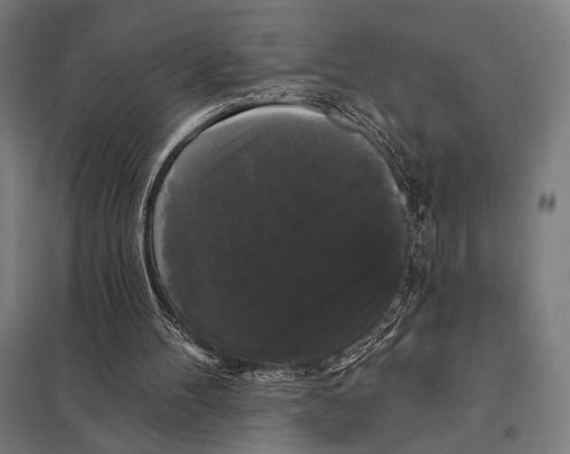 X0000097590100200803280937