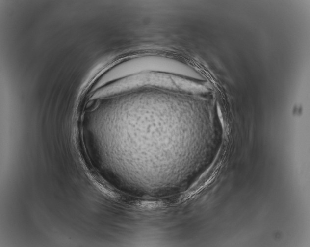 X0000097590101200803280937