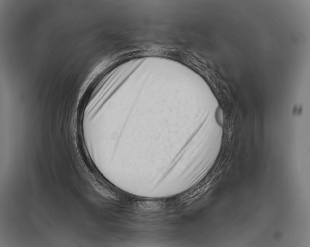 X0000097590102200803280937