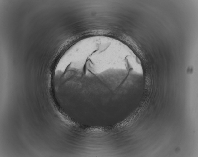 X0000097590110200803280937