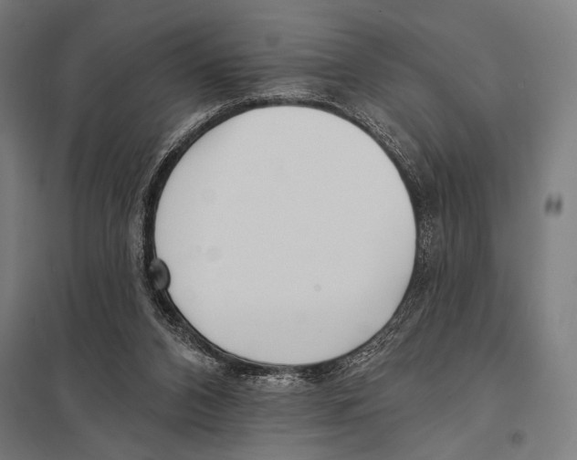 X0000097590112200803280937