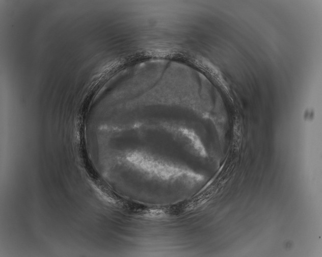 X0000097590114200803280937