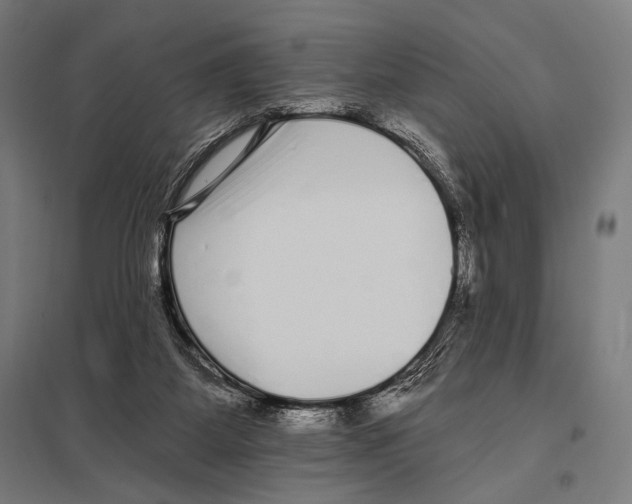 X0000097590115200803280937