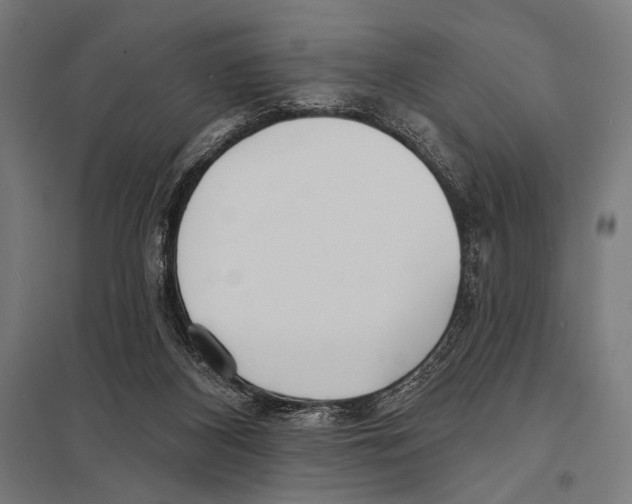 X0000097590116200803280937