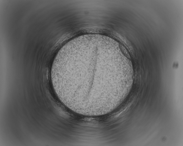 X0000097590117200803280937