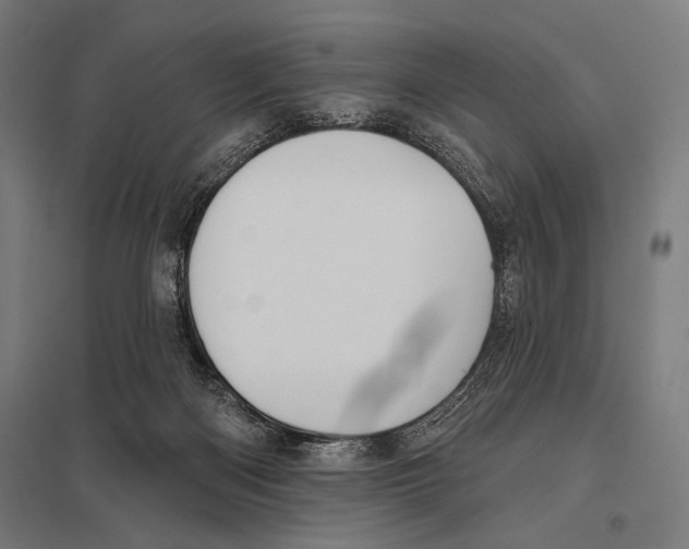 X0000097590122200803280936