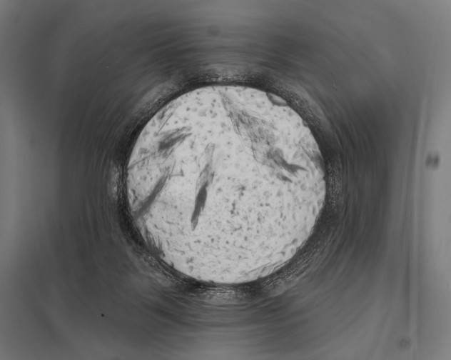 X0000097590123200803280936