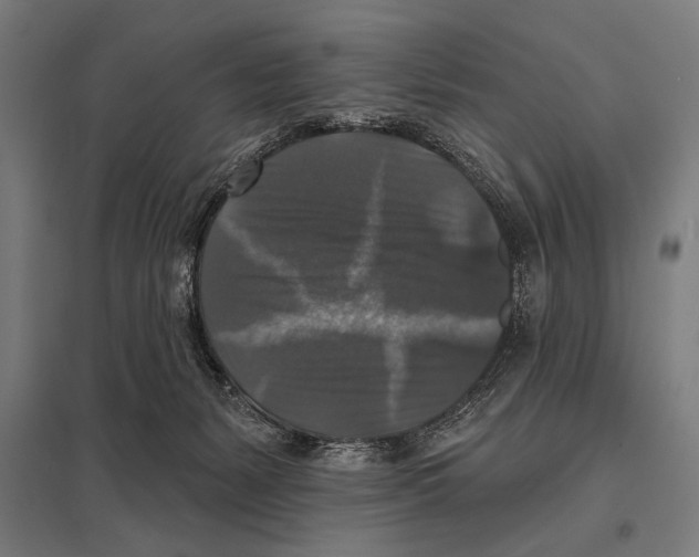 X0000097590127200803280936