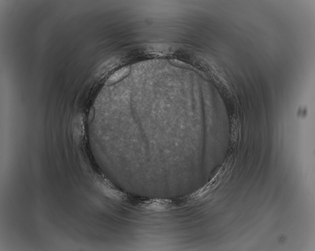 X0000097590128200803280936