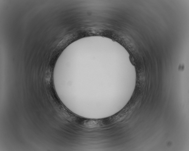 X0000097590129200803280936