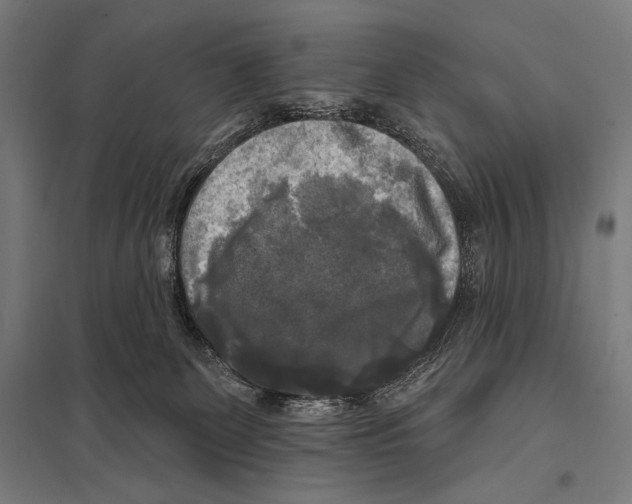 X0000097590131200803280936