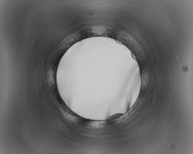 X0000097590136200803280936