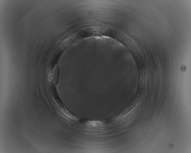 X0000097590137200803280936