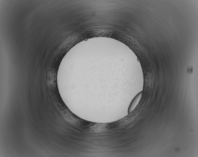 X0000097590138200803280936