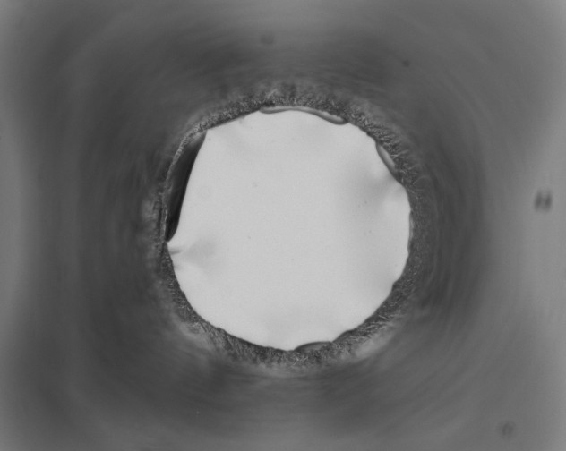 X0000097590144200803280936