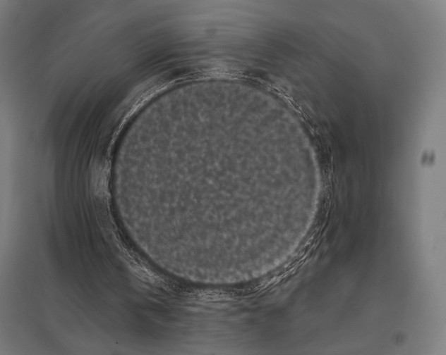 X0000097590146200803280936