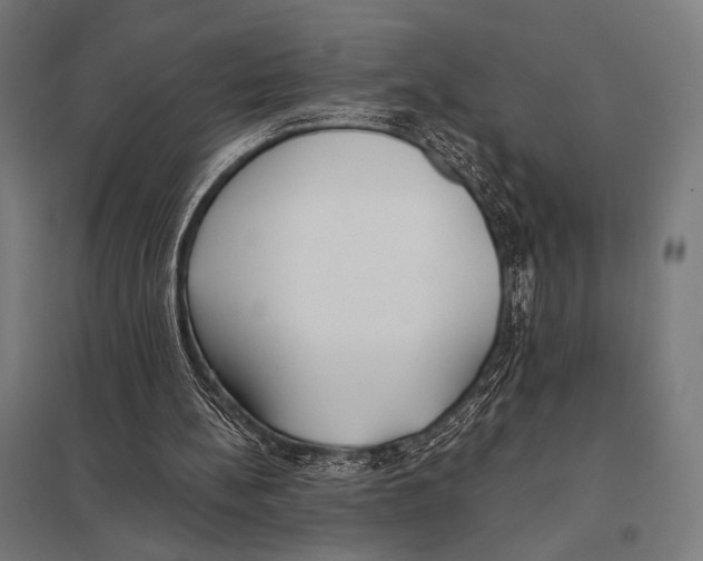 X0000097590148200803280936