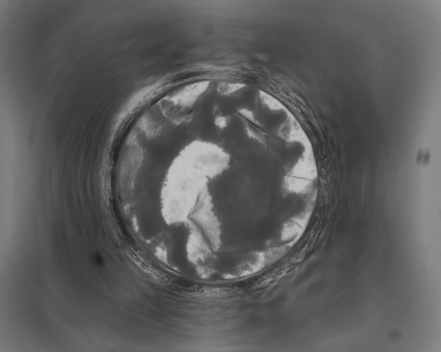 X0000097590149200803280936