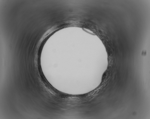 X0000097590150200803280936