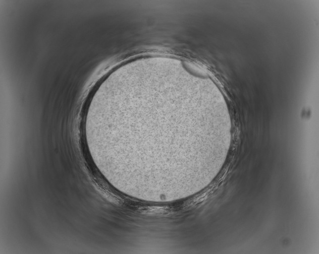 X0000097590151200803280936