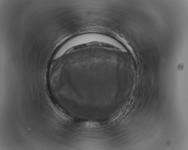 X0000097590154200803280936