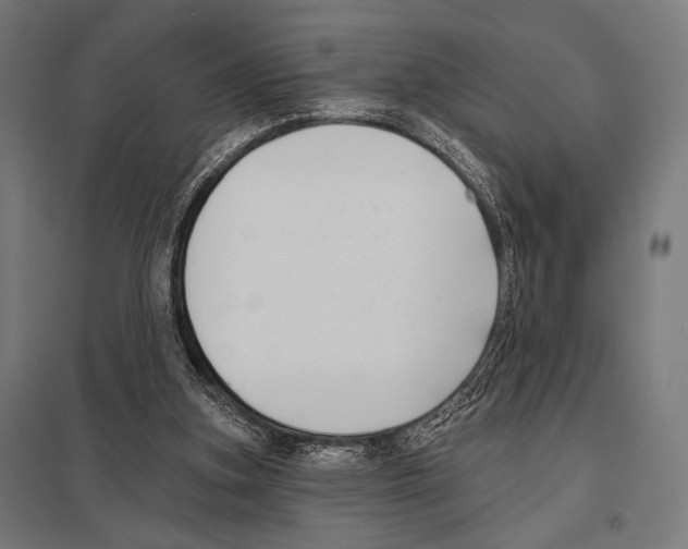 X0000097590155200803280936