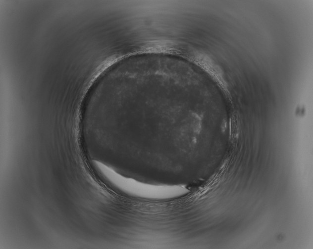 X0000097590156200803280936