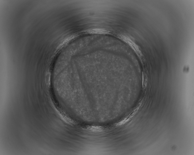 X0000097590157200803280936