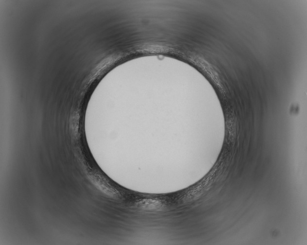 X0000097590159200803280936