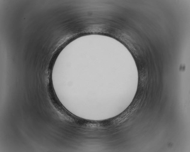 X0000097590160200803280936