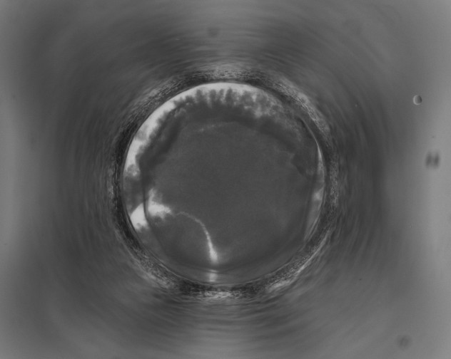 X0000097590161200803280936